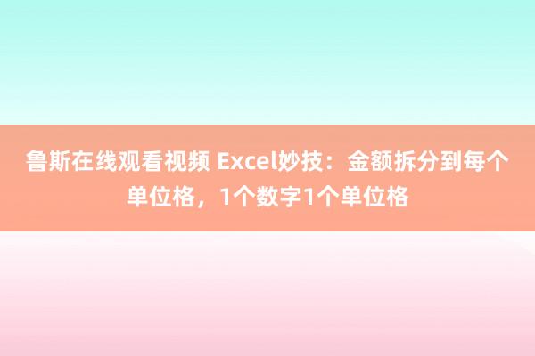 鲁斯在线观看视频 Excel妙技：金额拆分到每个单位格，1个数字1个单位格
